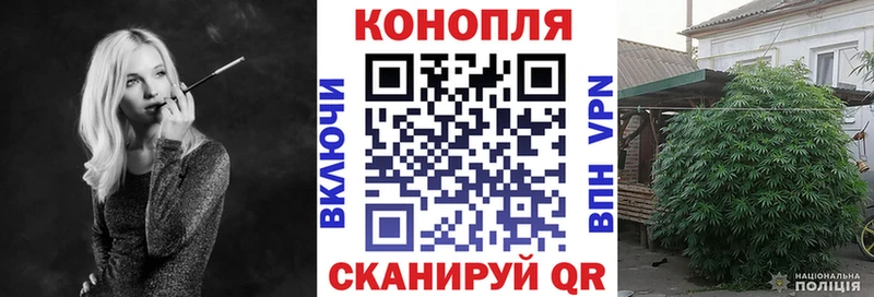 Конопля марихуана  даркнет официальный сайт  Крымск  где купить наркоту 